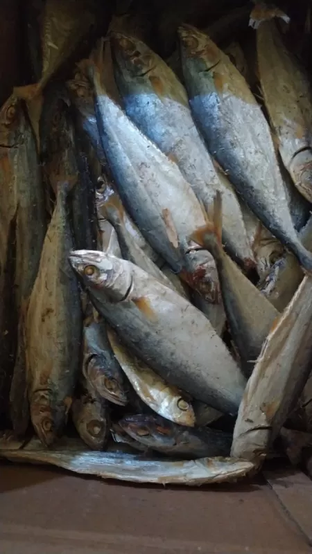 ikan Asin talang-talang